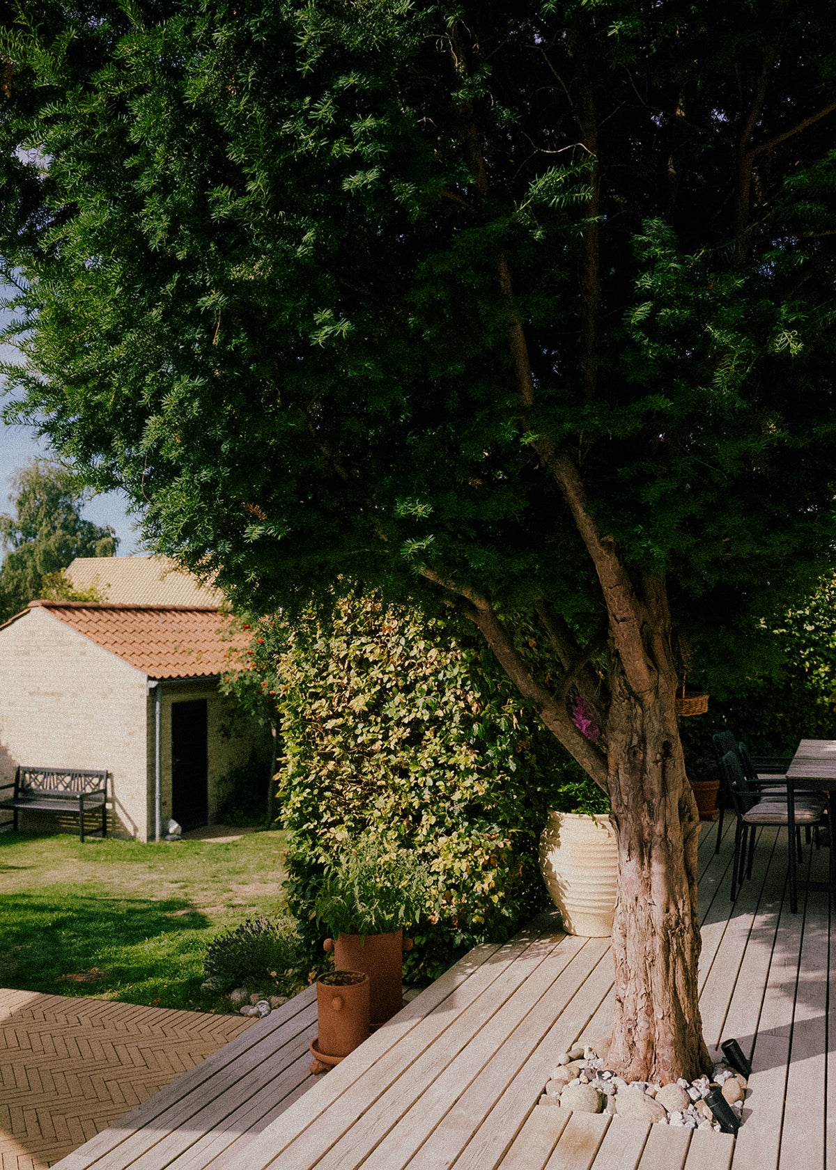Terrasse med træ vokset gennem trædækket, have og udhus i baggrunden